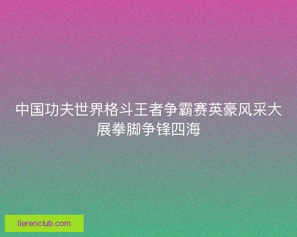 中国功夫世界格斗王者争霸赛英豪风采大展拳脚争锋四海 中国功夫世界格斗王者争霸赛英豪风采大展拳脚争锋四海
